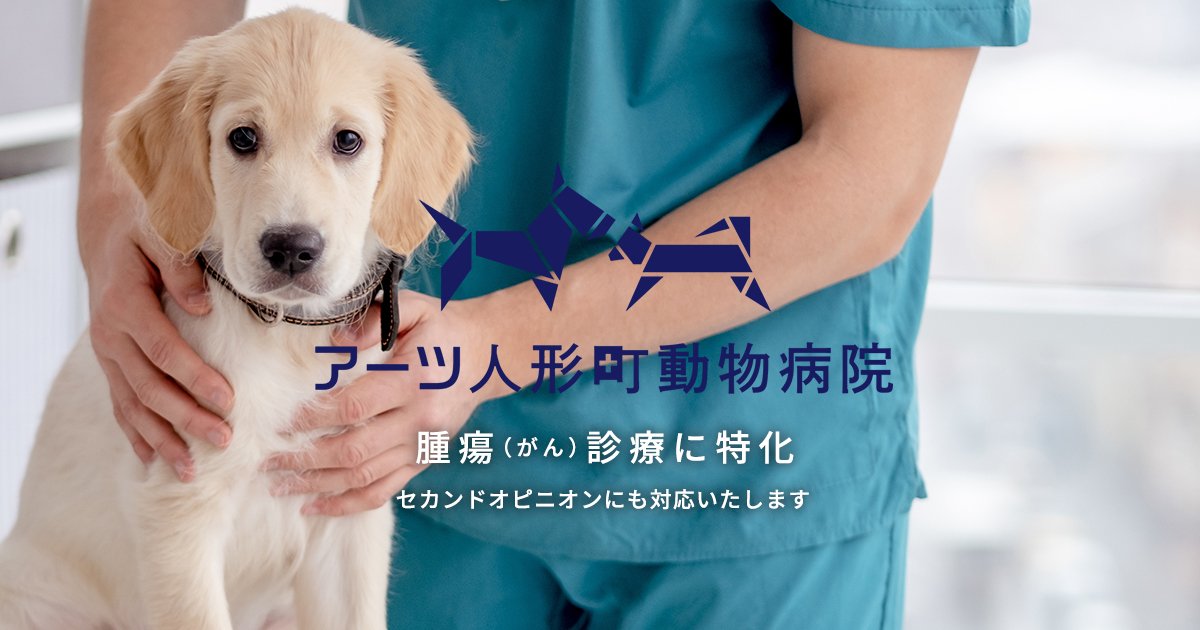 アーツ人形町動物病院｜腫瘍（がん）診療に特化！適切なサポート